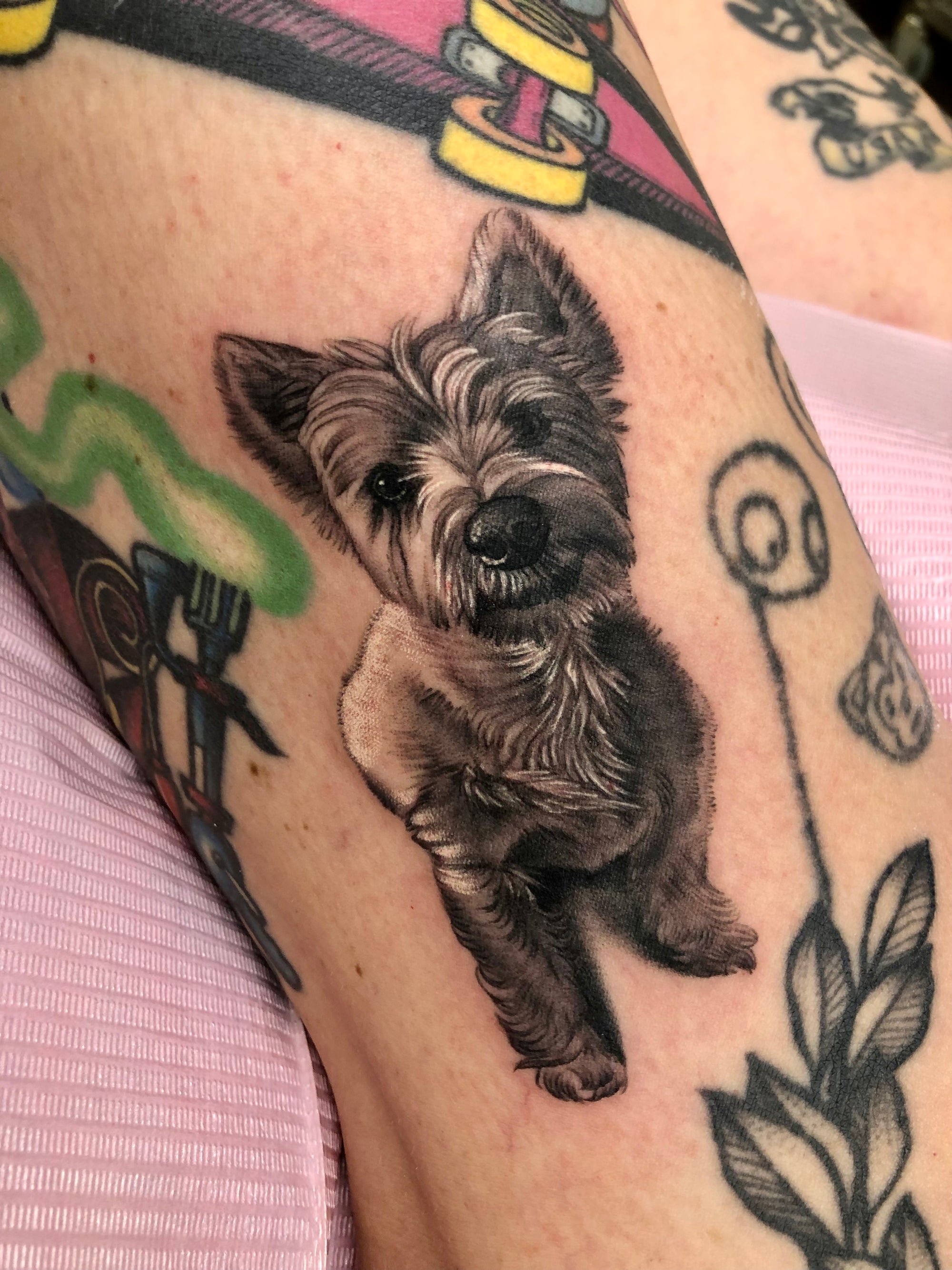 Black and gray realistic Westie, West Highland Terrier, dog portrait tattoo made by Megan Massacre at Grit N Glory in NYC. This small realism pet portrait tattoo sits on the thigh and measures just about 3.5"