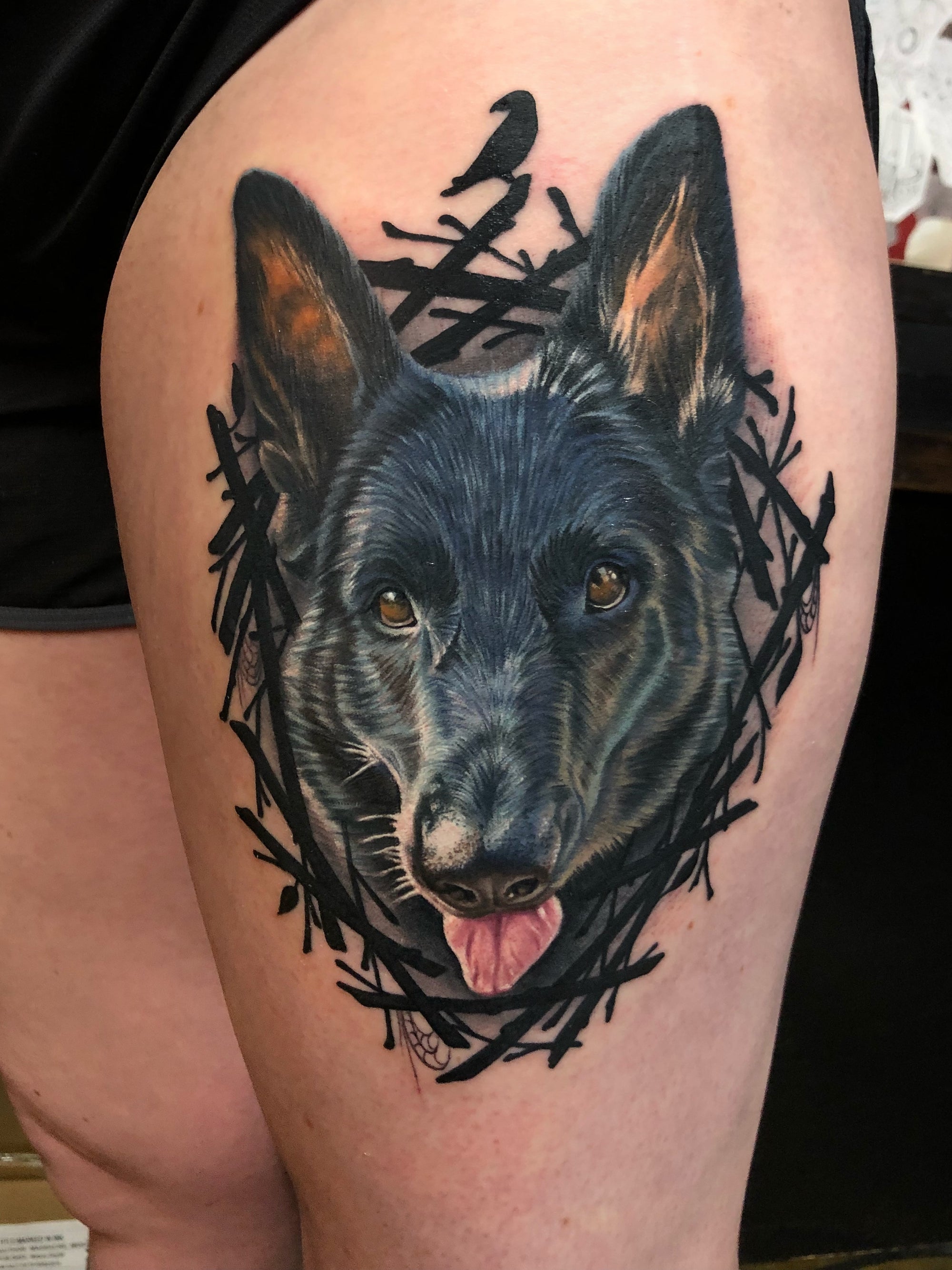 Color realism black German Shepherd dog, GSD, pet portrait tattoo with high contrast branch frame made by Megan Massacre. 