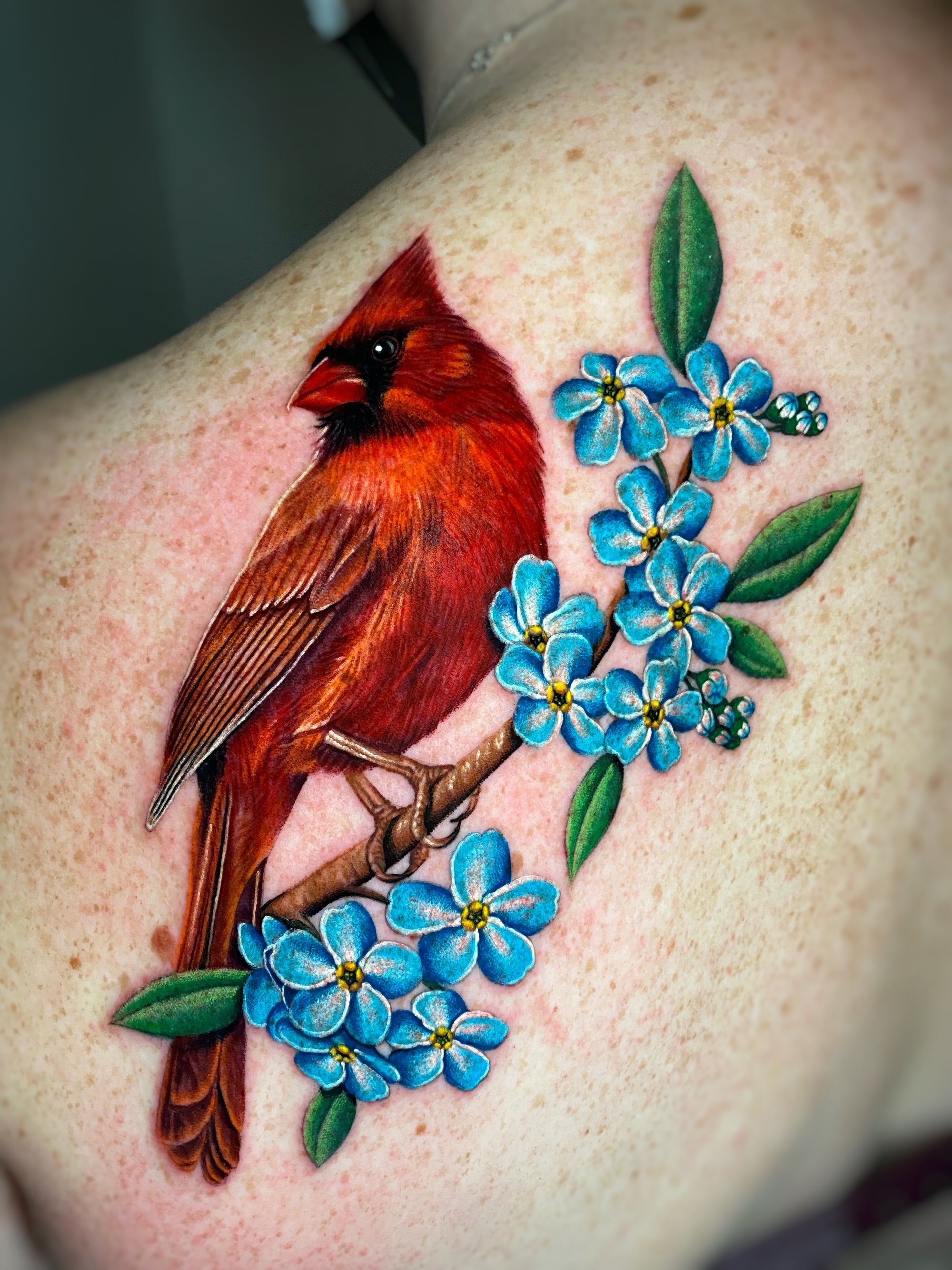 Color realism red cardinal perched on a branch tattoo by Megan Massacre. This shoulder tattoo features blue flowers and green foliage. 