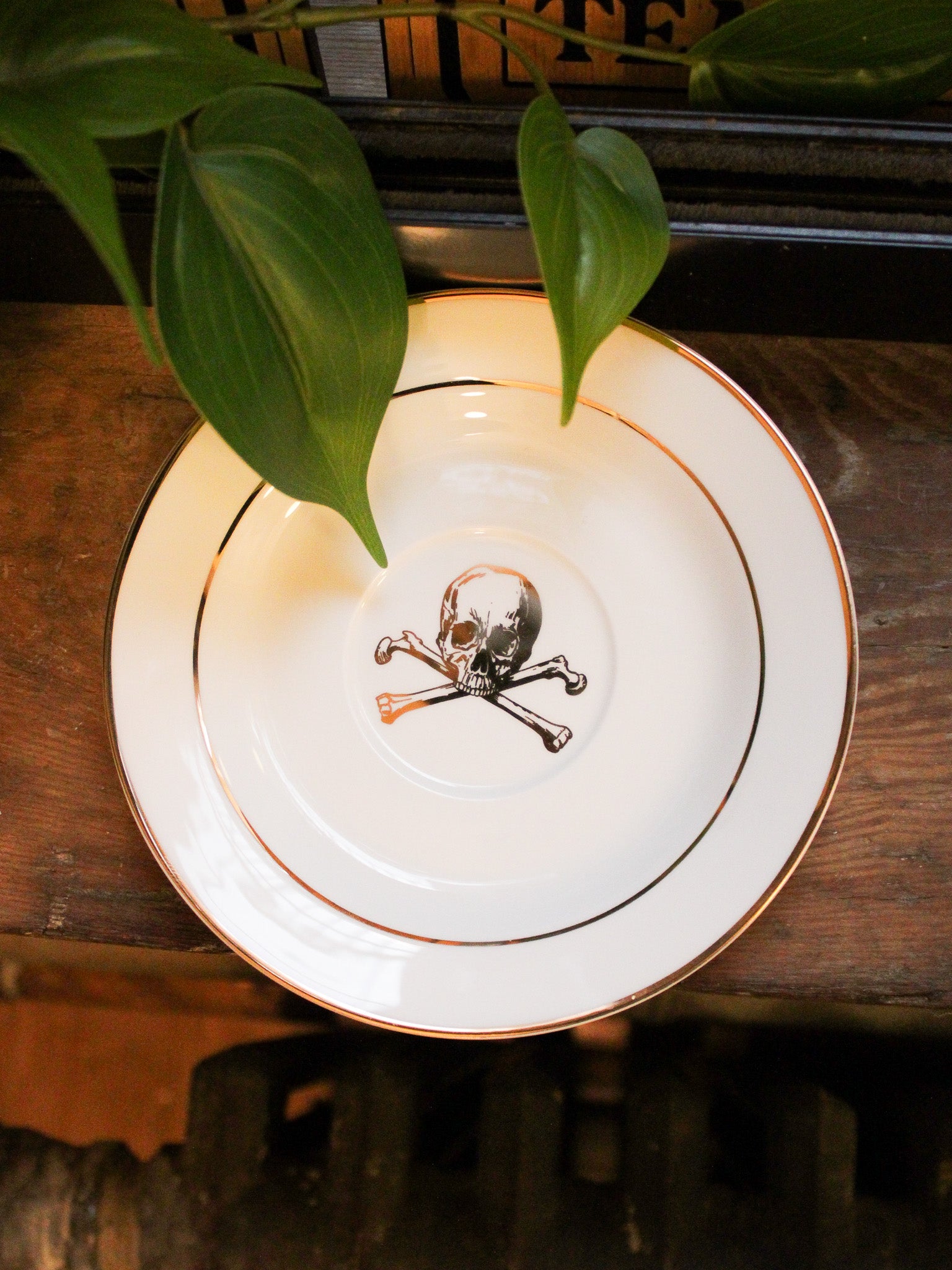 White china teacup saucer with gold skull and cross bones and gold trim. 