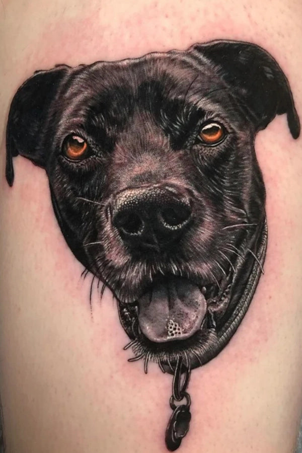 black and gray realism dog portrait tattoo by Megan Massacre at Grit N Glory in New York City