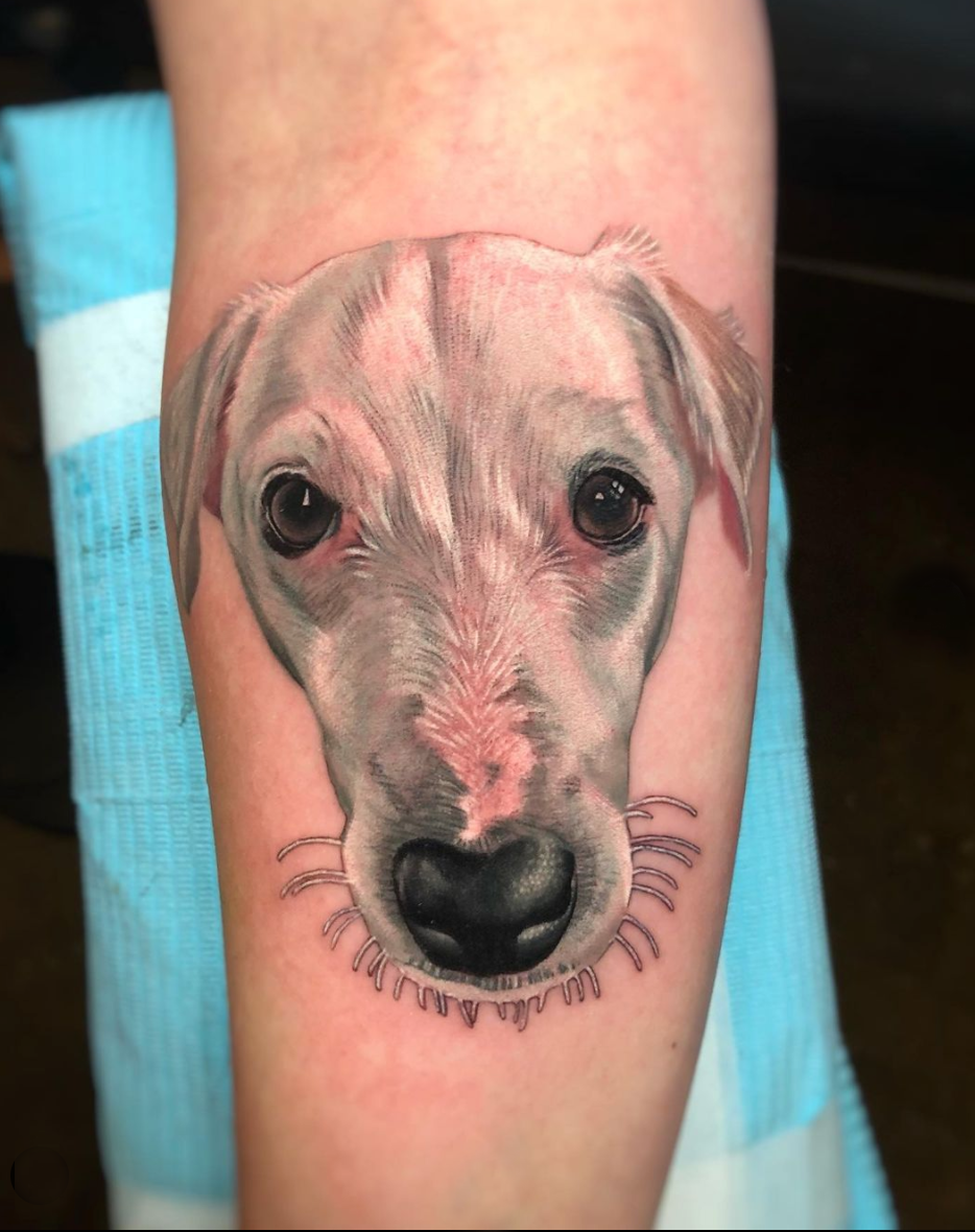 Color realism dog portrait forearm tattoo of a white dog with dark brown eyes and black nose by Megan Massacre. This cute realistic dog tattoo was done at Grit N Glory in NYC