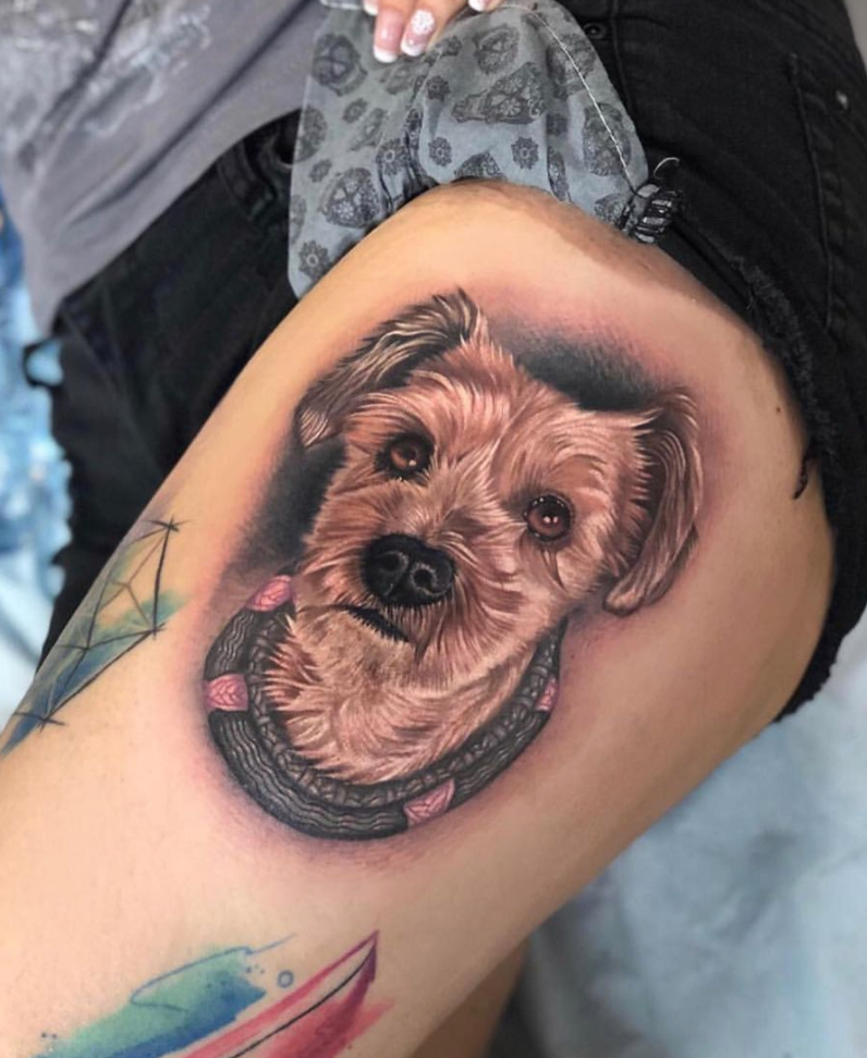 Color realism scruffy terrier-like dog portrait thigh leg tattoo by Megan Massacre at Grit N Glory in NYC. The tattoo features a tan dog with brown eyes and a black nose.