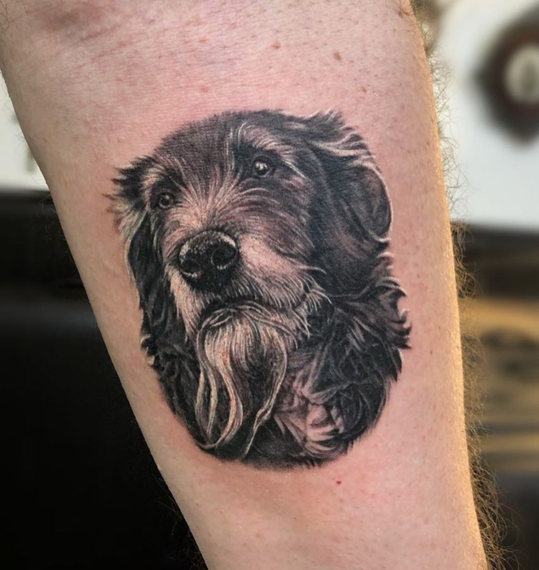 Pin by Bill Gonzalez on Dog raincoat | Greyhound art, Animal tattoo, Body  art