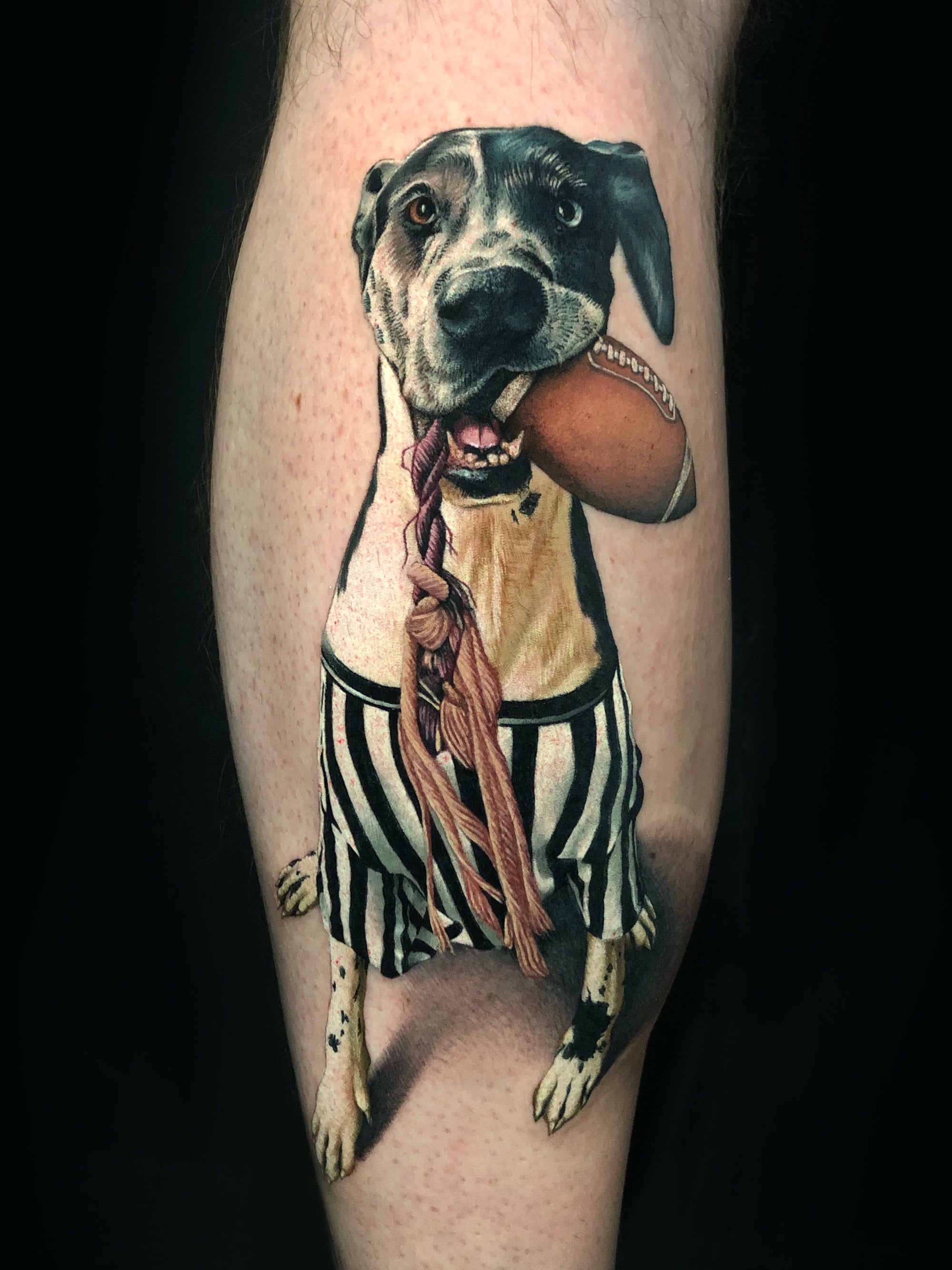 Color realism Great Dane dog portrait calf tattoo by Megan Massacre. This cute pet portrait features a black, white, and brown dog wearing a referee shirt holding his football toy. 